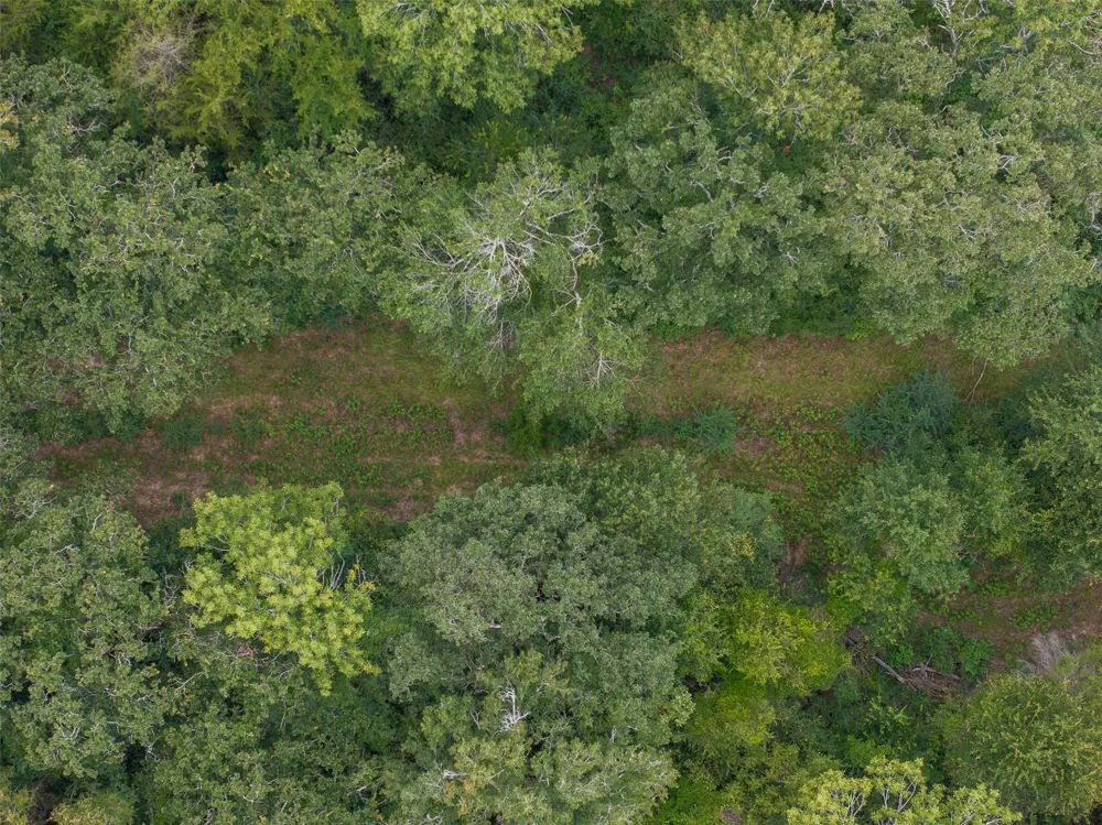 West Caney Road Normangee, TX 77871