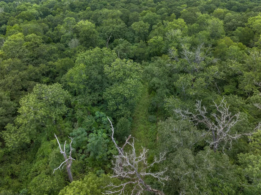 West Caney Road Normangee, TX 77871