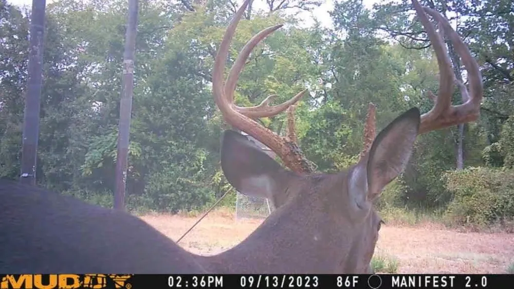 West Caney Road Normangee, TX 77871