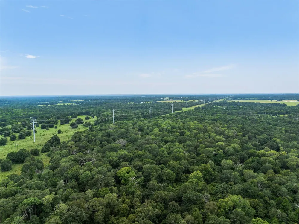 West Caney Road Normangee, TX 77871