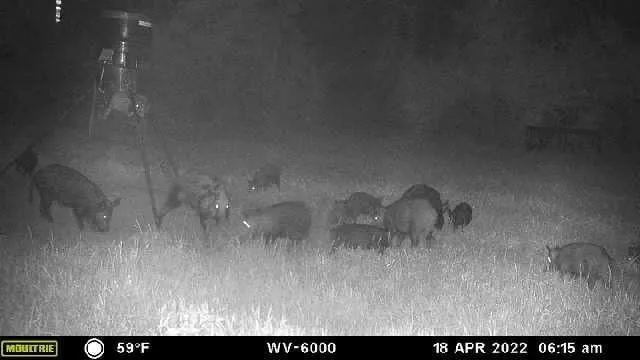 West Caney Road Normangee, TX 77871