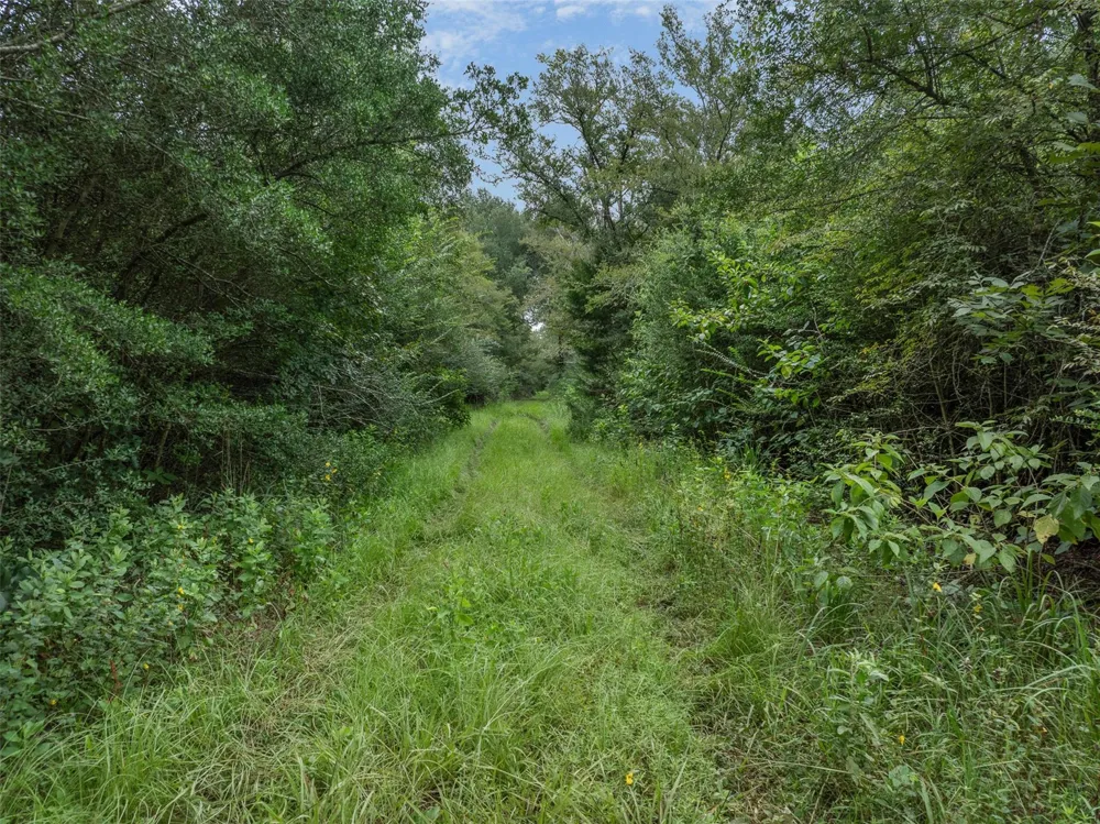 West Caney Road Normangee, TX 77871