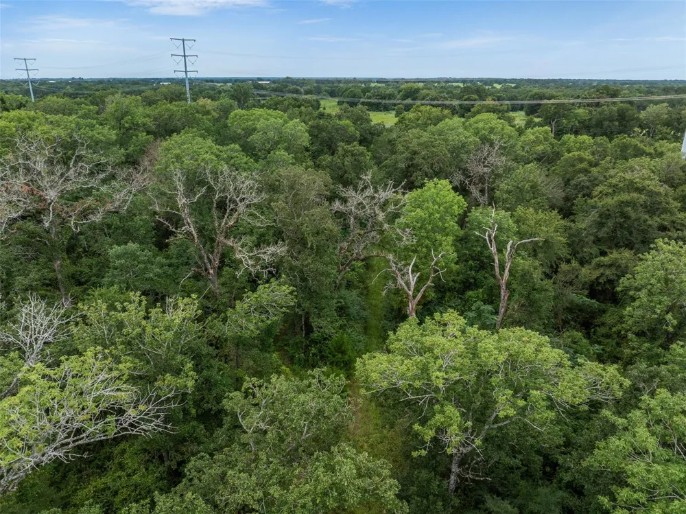 West Caney Road Normangee, TX 77871