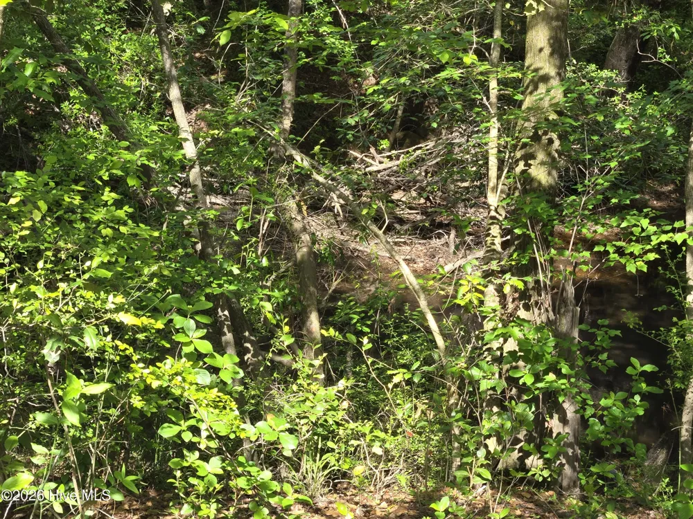Tbd Cabins Creek Road Vass, NC 28394