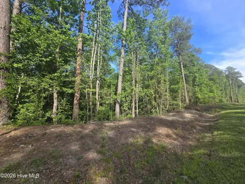 Tbd Cabins Creek Road