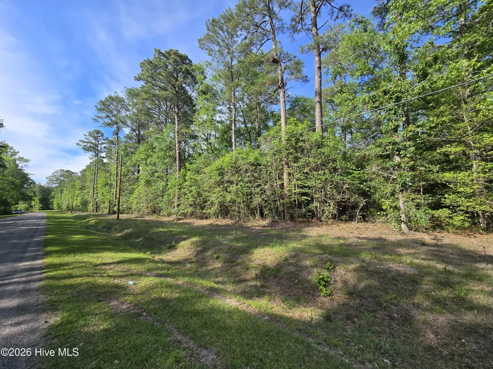 Tbd Cabins Creek Road Vass, NC 28394