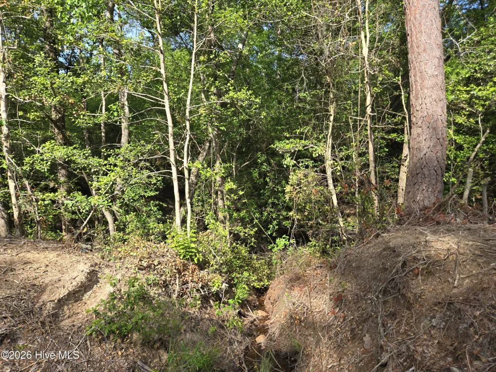 Tbd Cabins Creek Road Vass, NC 28394
