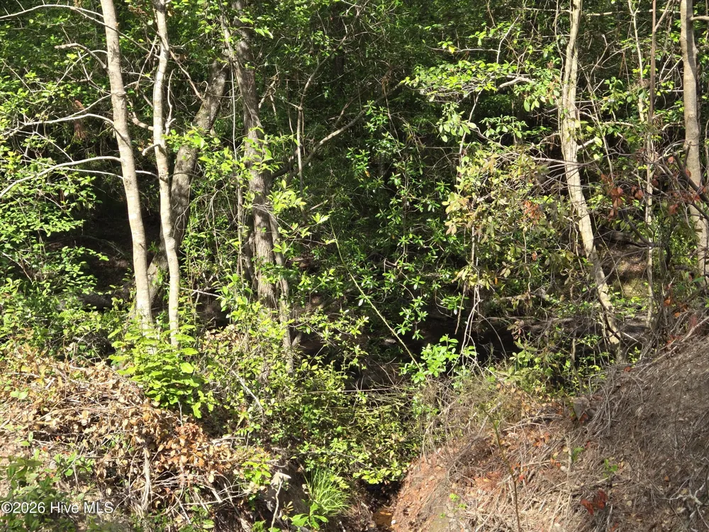 Tbd Cabins Creek Road Vass, NC 28394