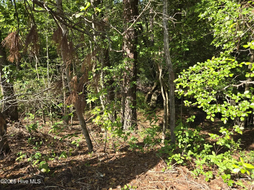 Tbd Cabins Creek Road Vass, NC 28394