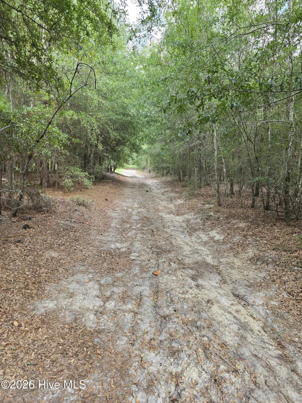 317 R J Johnson Road Allendale, SC 29810