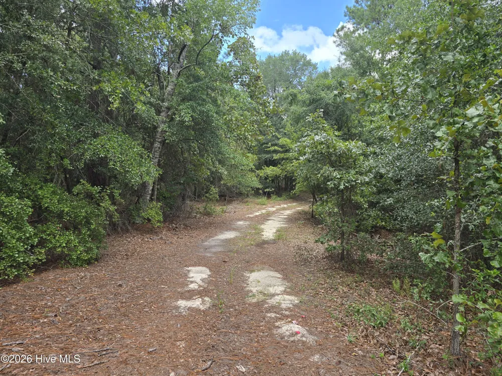 317 R J Johnson Road Allendale, SC 29810