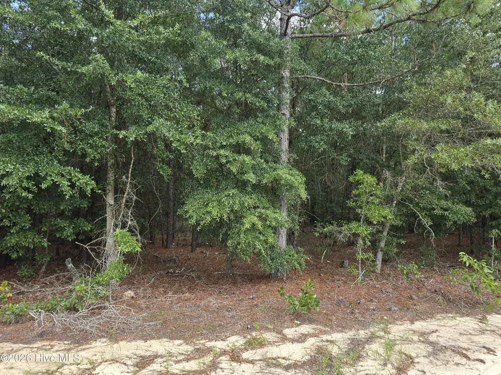 317 R J Johnson Road Allendale, SC 29810