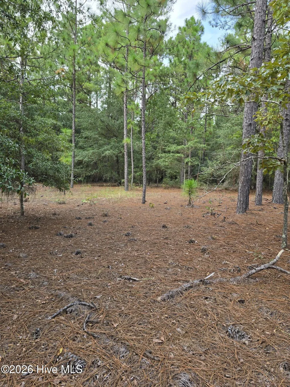 317 R J Johnson Road Allendale, SC 29810