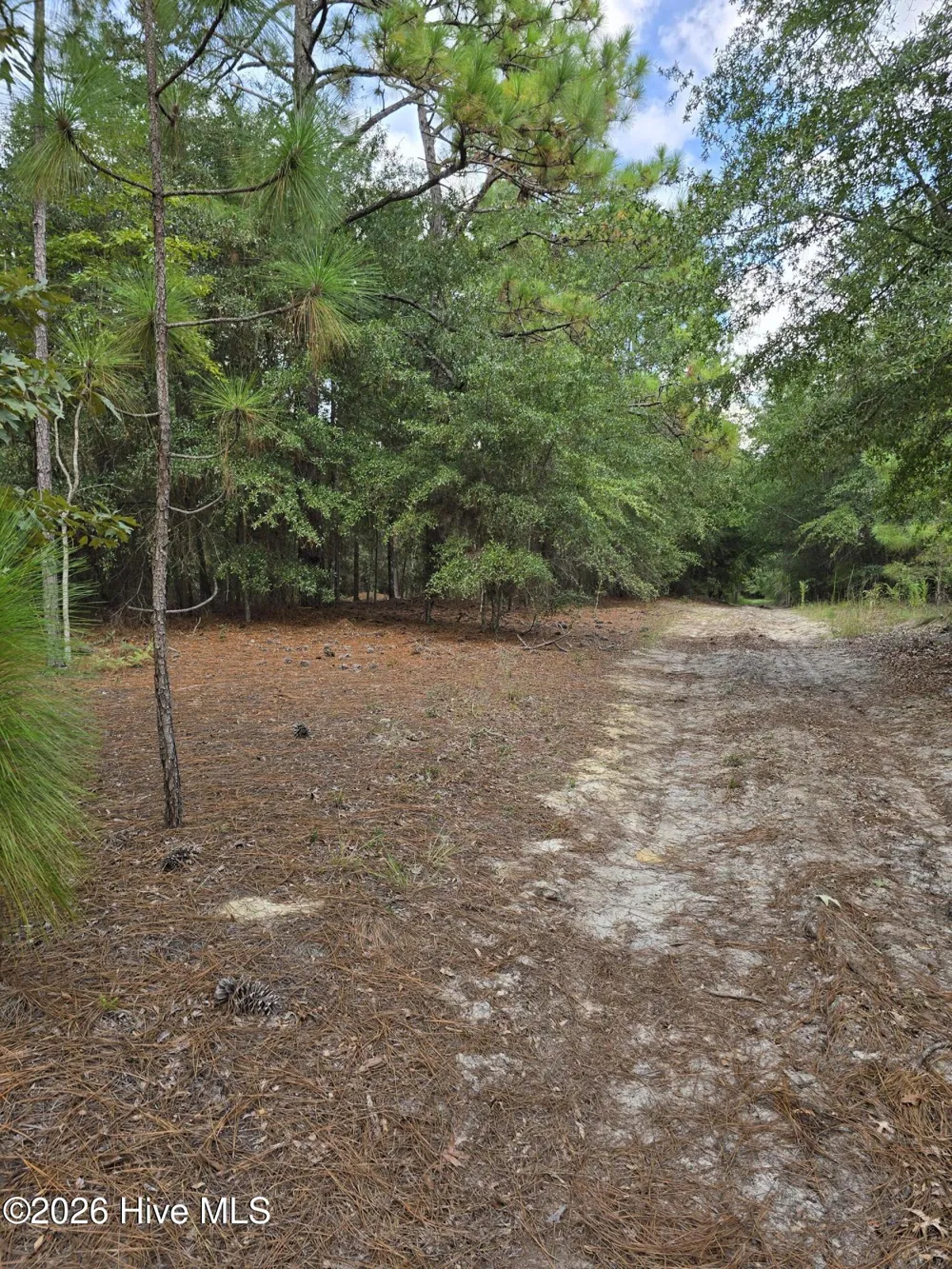 317 R J Johnson Road Allendale, SC 29810