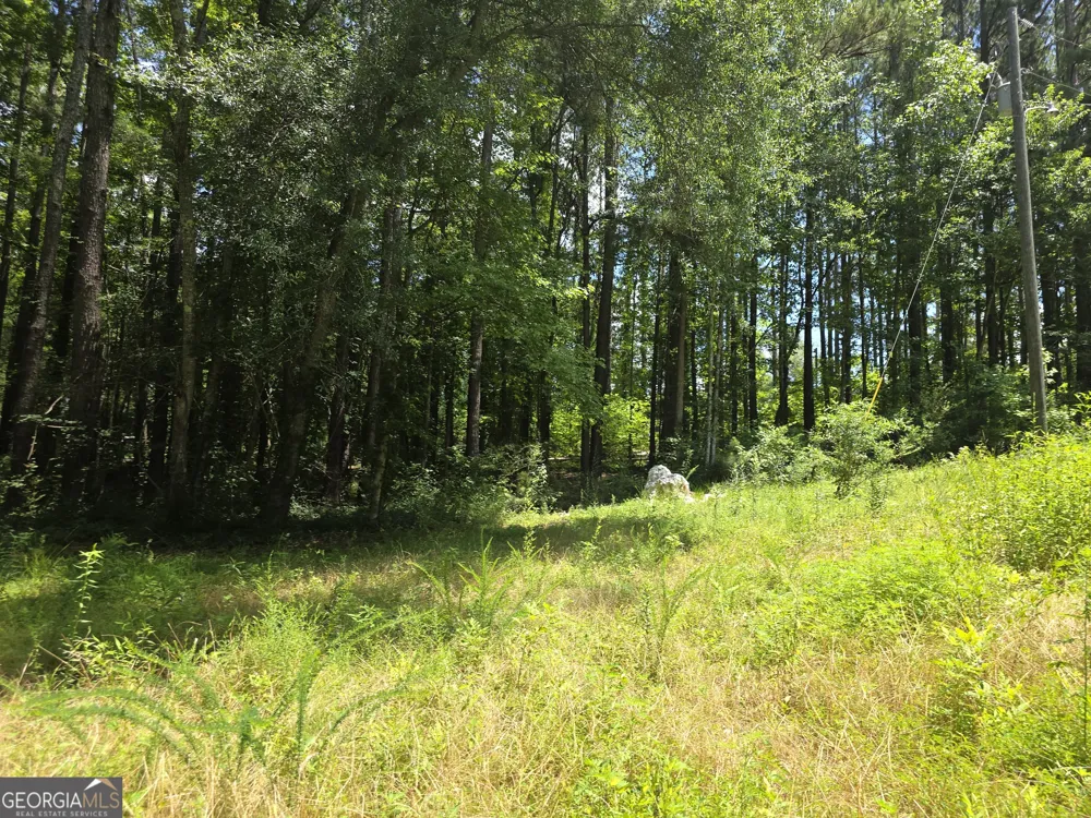 1347 Windom RD Tallapoosa, GA 30176
