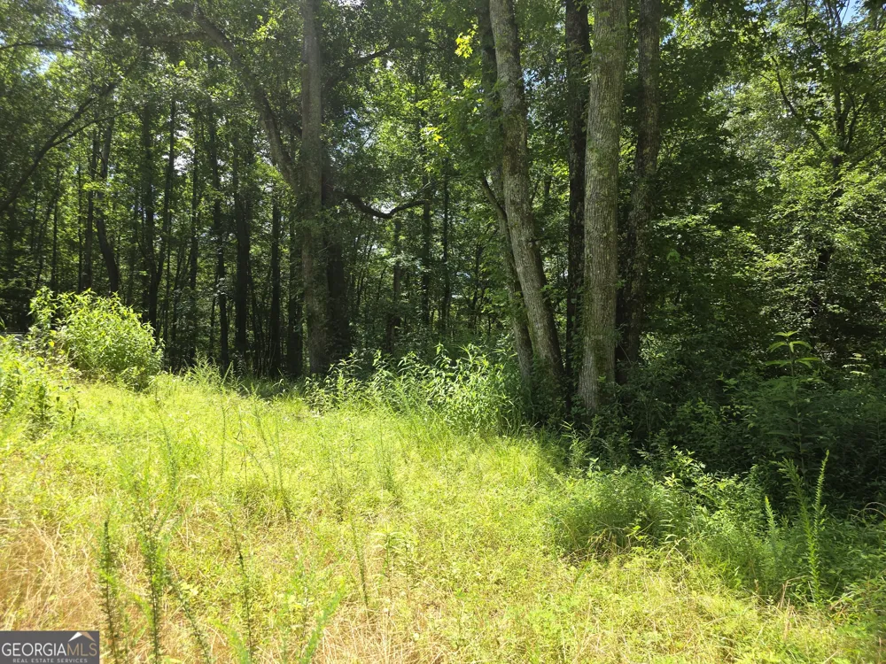 1347 Windom RD Tallapoosa, GA 30176