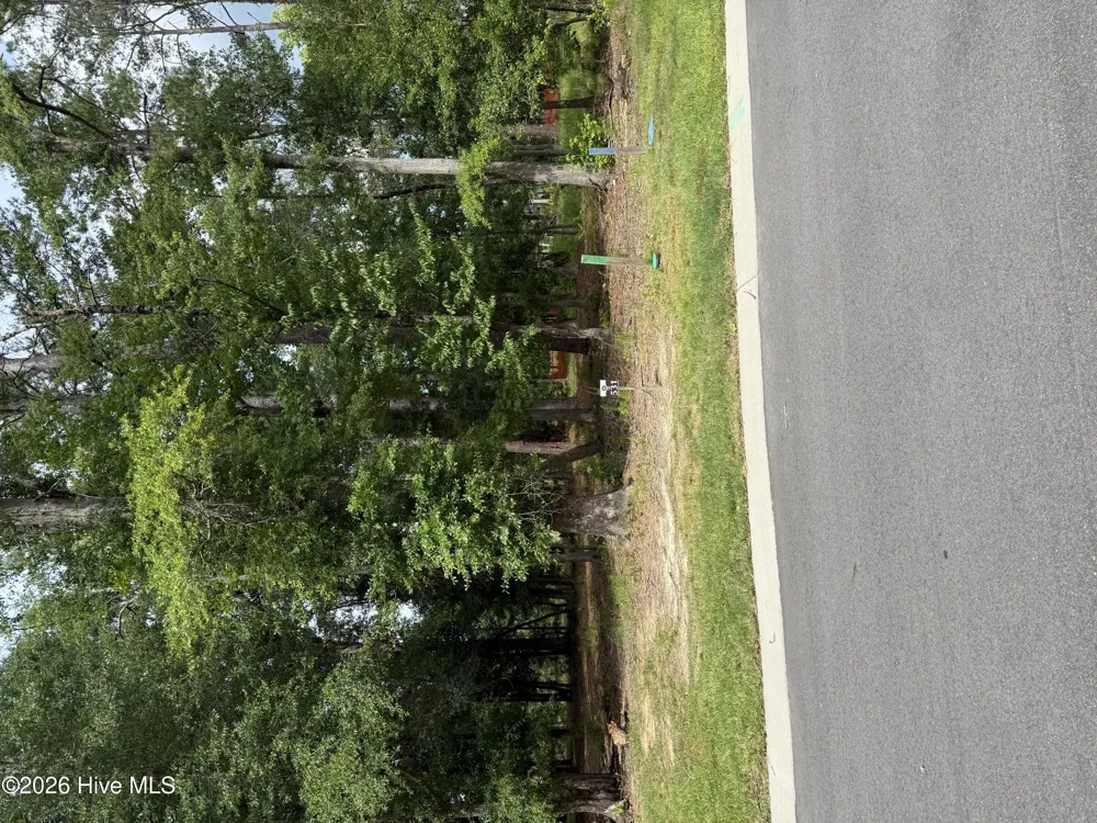 3698 Excelsior Lane Castle Hayne, NC 28429
