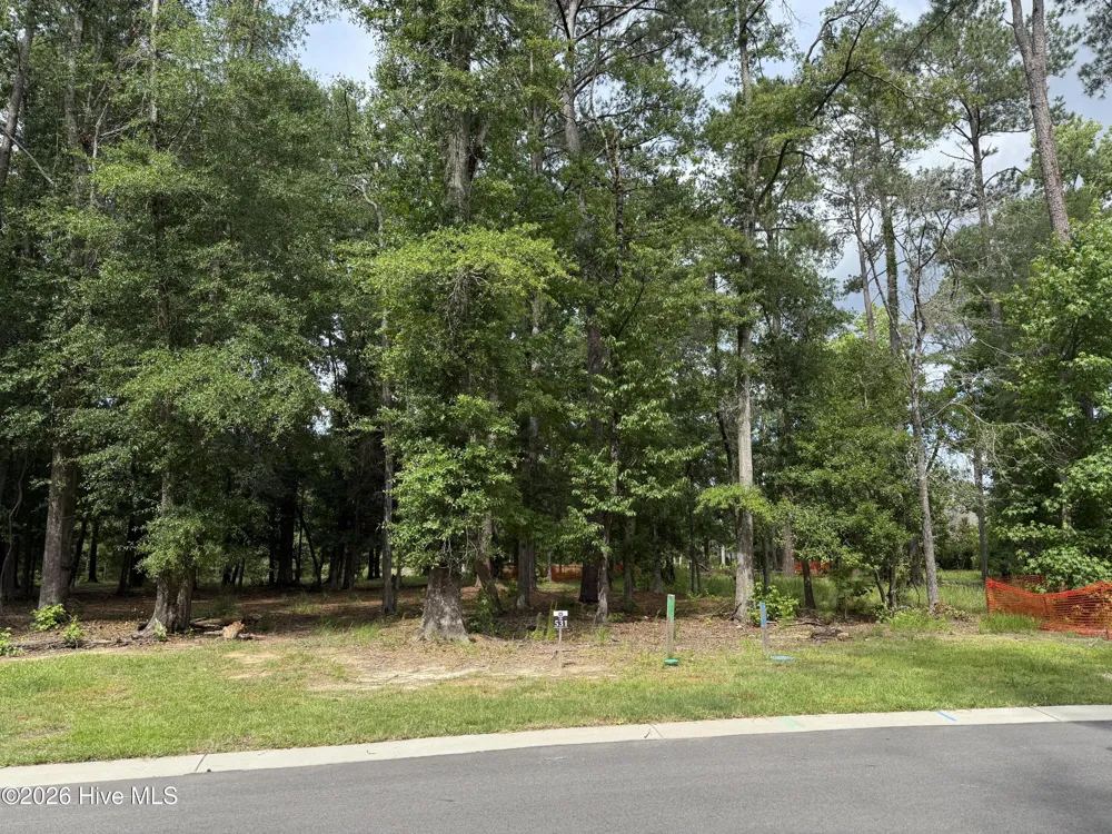 3698 Excelsior Lane Castle Hayne, NC 28429