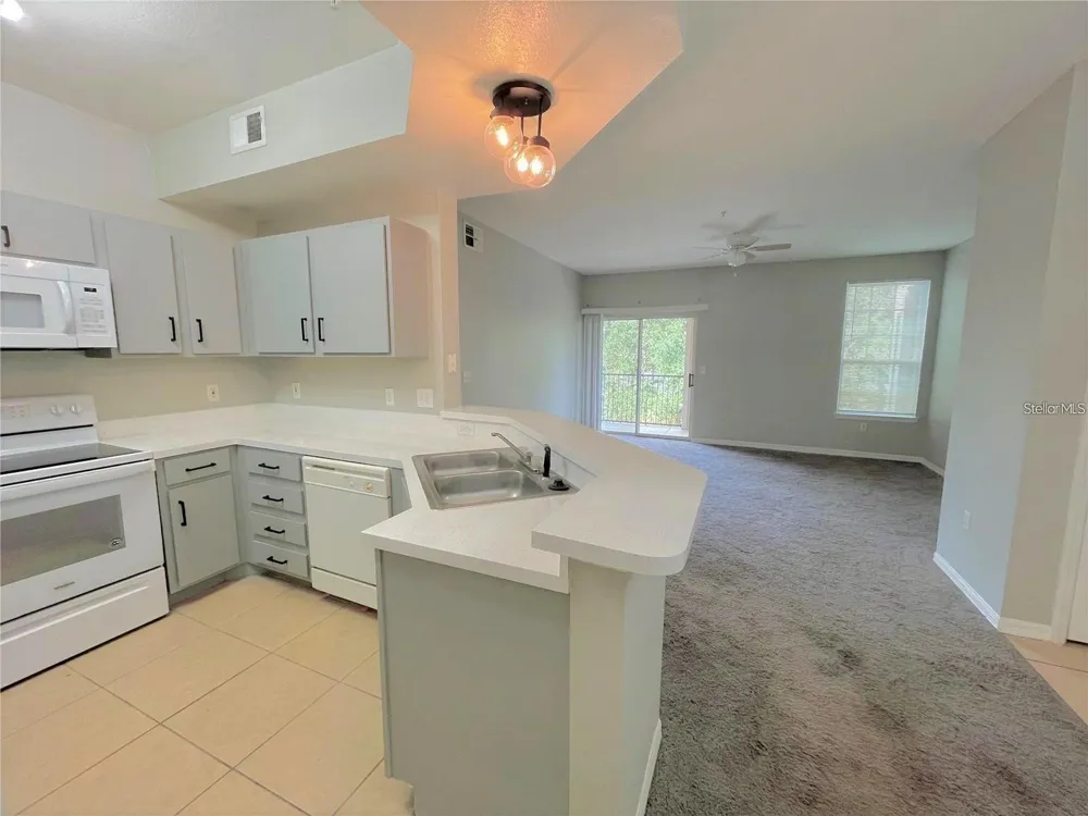 2015 ERVING CIRCLE #304 Ocoee, FL 34761