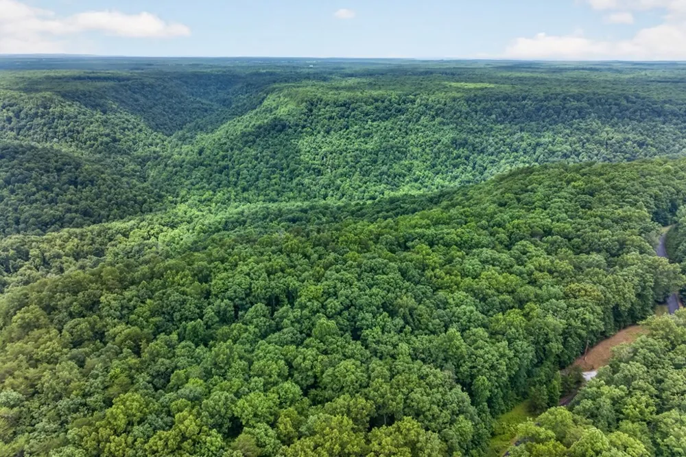 378 Parkside Ln Spencer, TN 38585