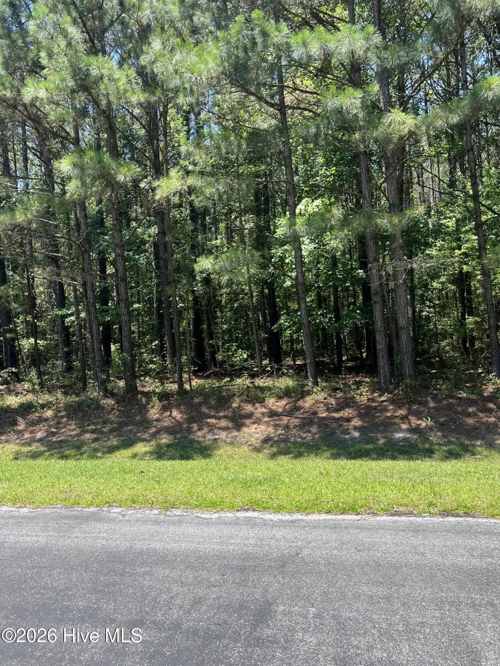 Lot #79 Breakwater Drive Bath, NC 27808