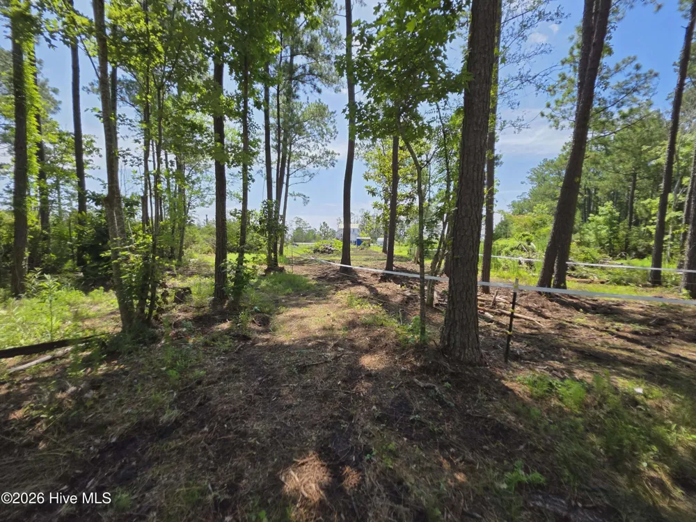 1063 Highway 70 Stacy, NC 28581