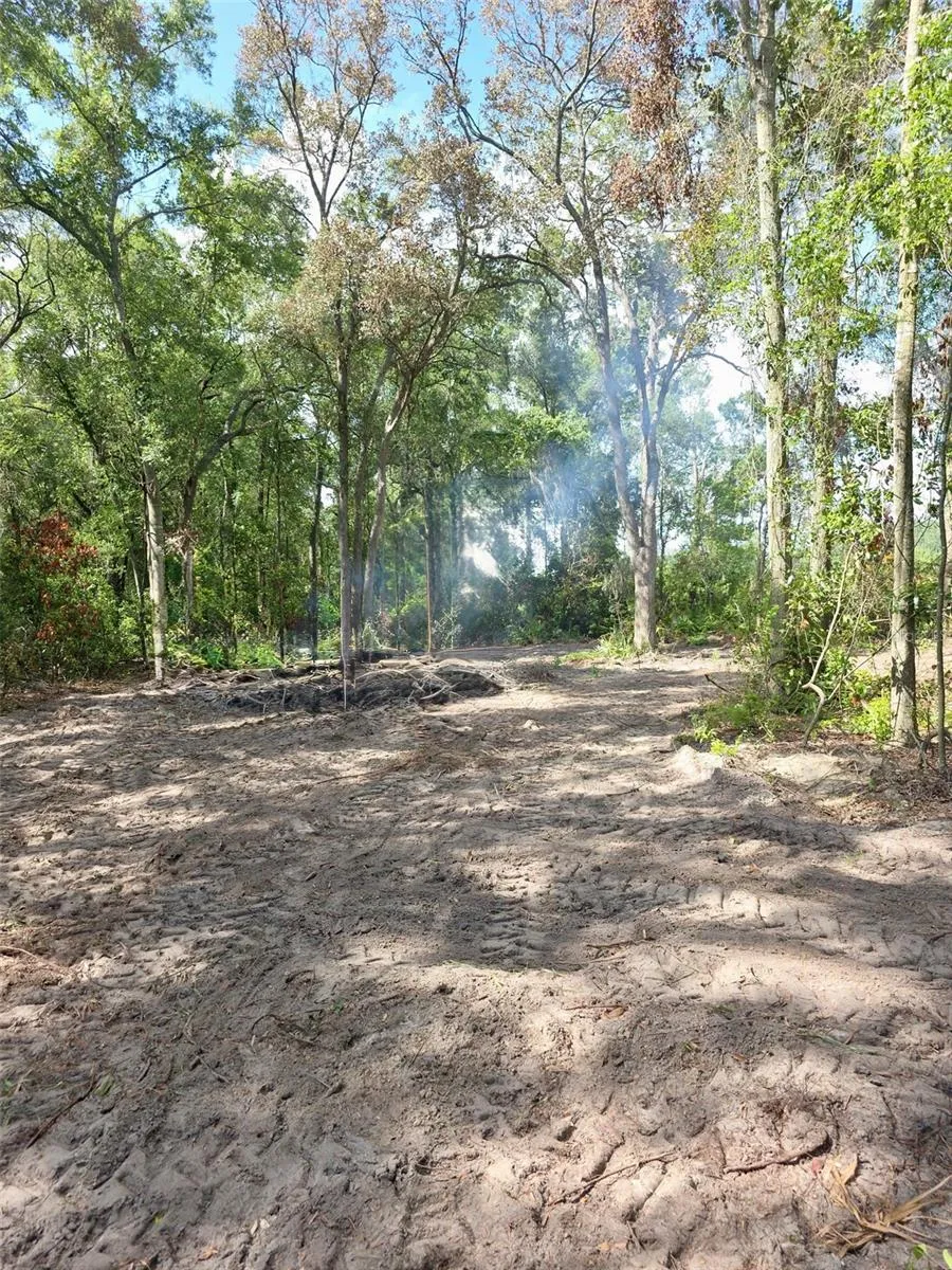 Lot 111 NW 70TH AVENUE Trenton, FL 32693