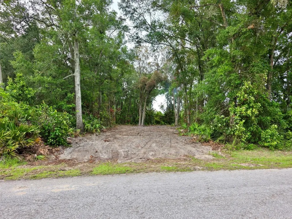 Lot 112 NW 70TH AVENUE Trenton, FL 32693