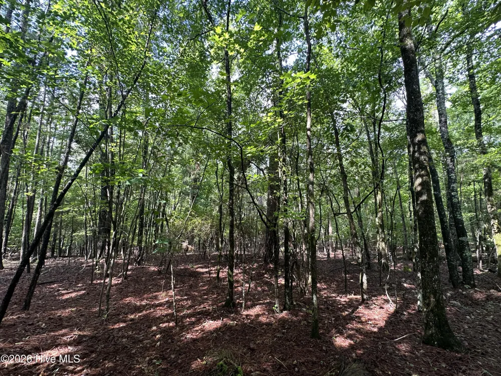 B15 L26 Blair Lane Mccormick, SC 29835