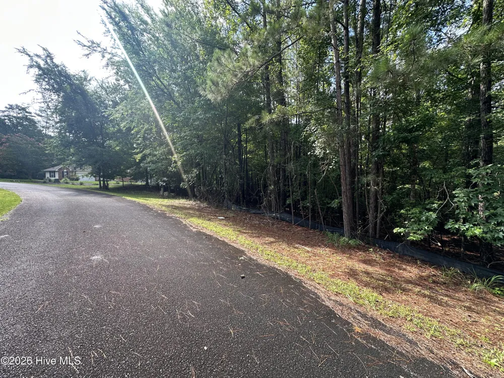 B15 L26 Blair Lane Mccormick, SC 29835