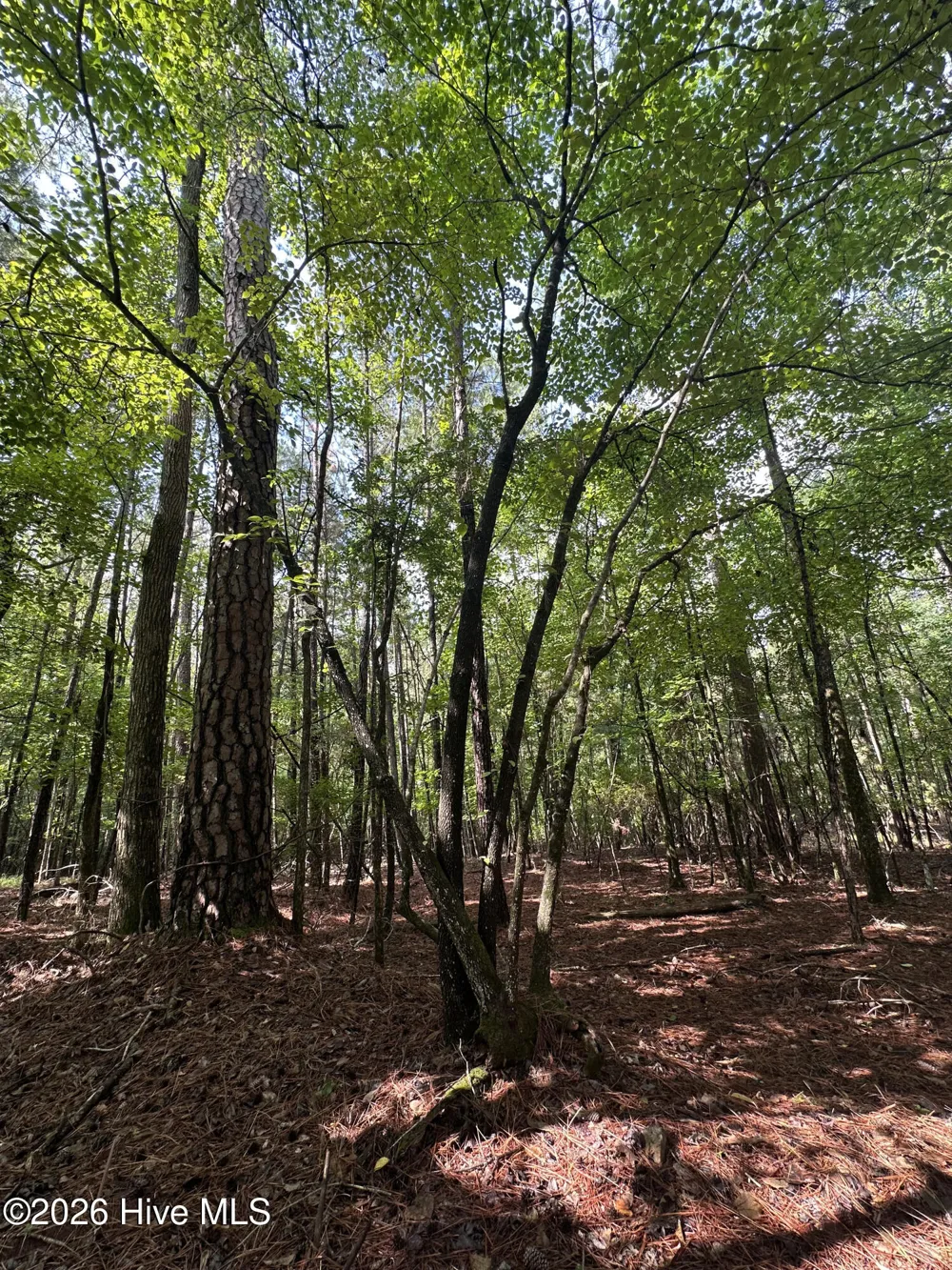 B15 L26 Blair Lane Mccormick, SC 29835