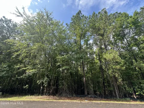B15 L26 Blair Lane