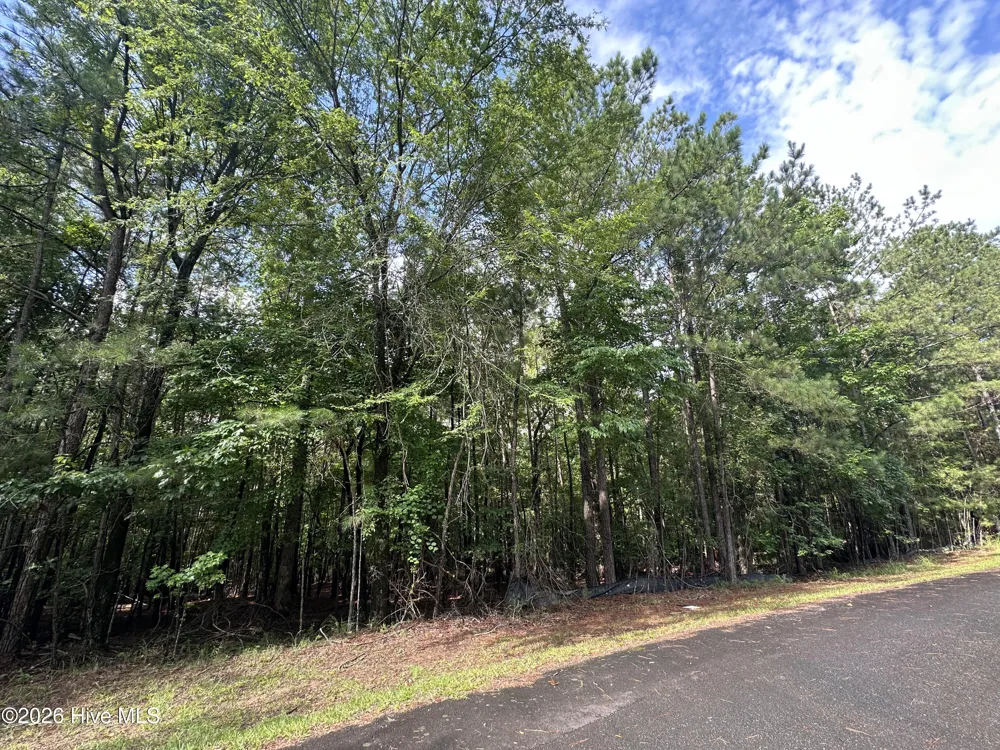 B15 L26 Blair Lane Mccormick, SC 29835