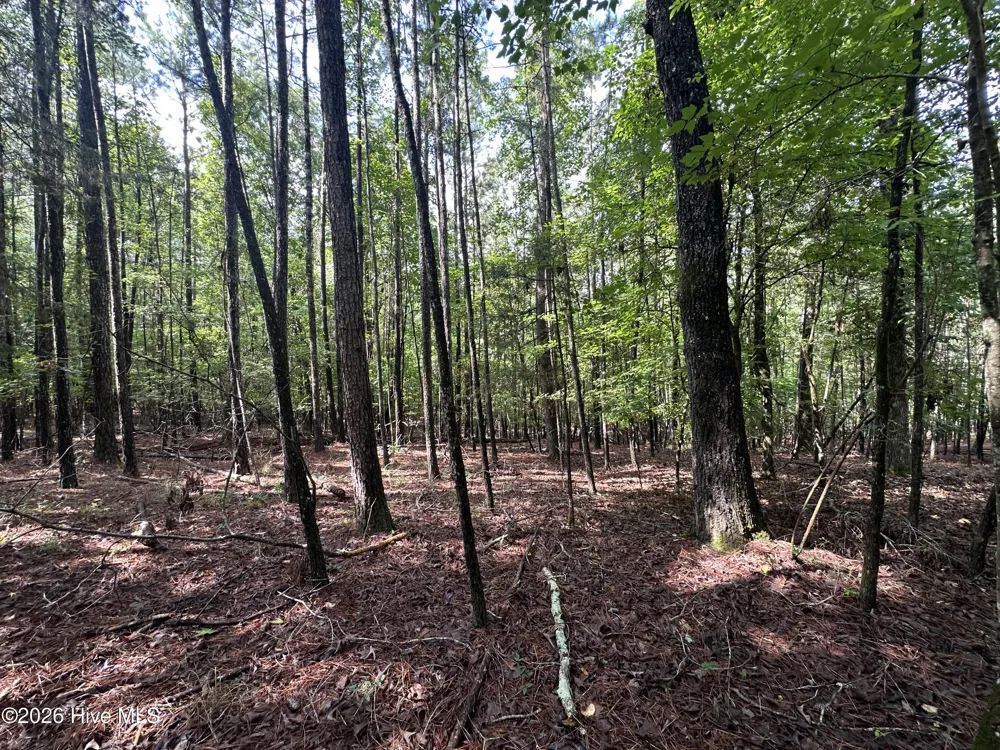 B15 L26 Blair Lane Mccormick, SC 29835