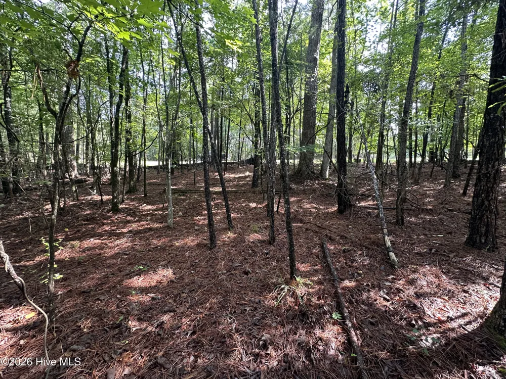 B15 L26 Blair Lane Mccormick, SC 29835