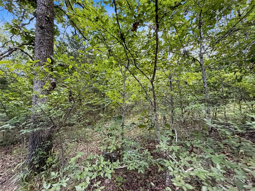15265 W 917 ROAD Park Hill, OK 74451