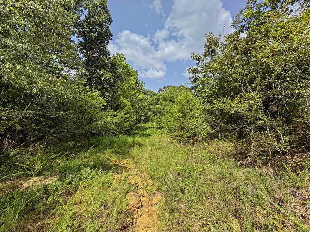 15265 W 917 ROAD Park Hill, OK 74451