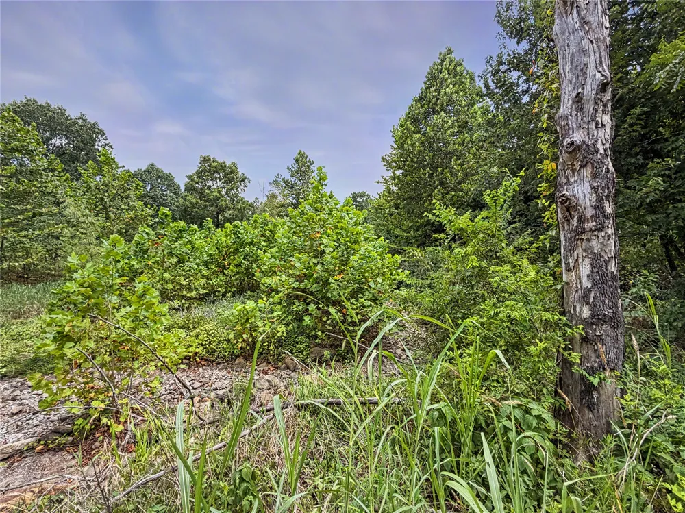 15265 W 917 ROAD Park Hill, OK 74451