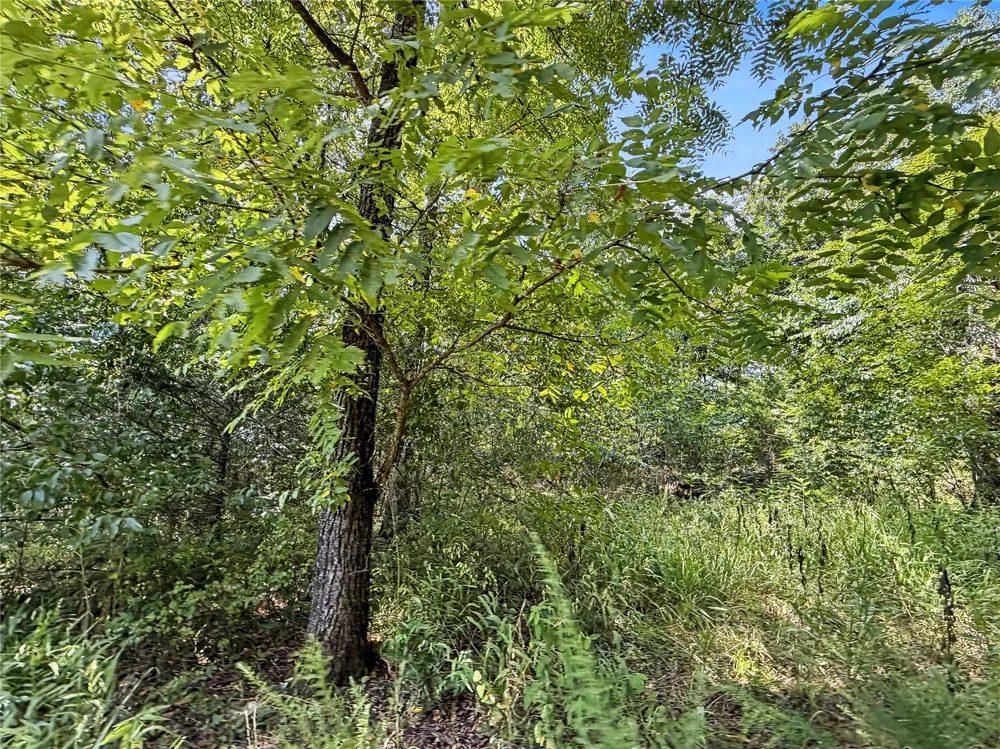 15265 W 917 ROAD Park Hill, OK 74451