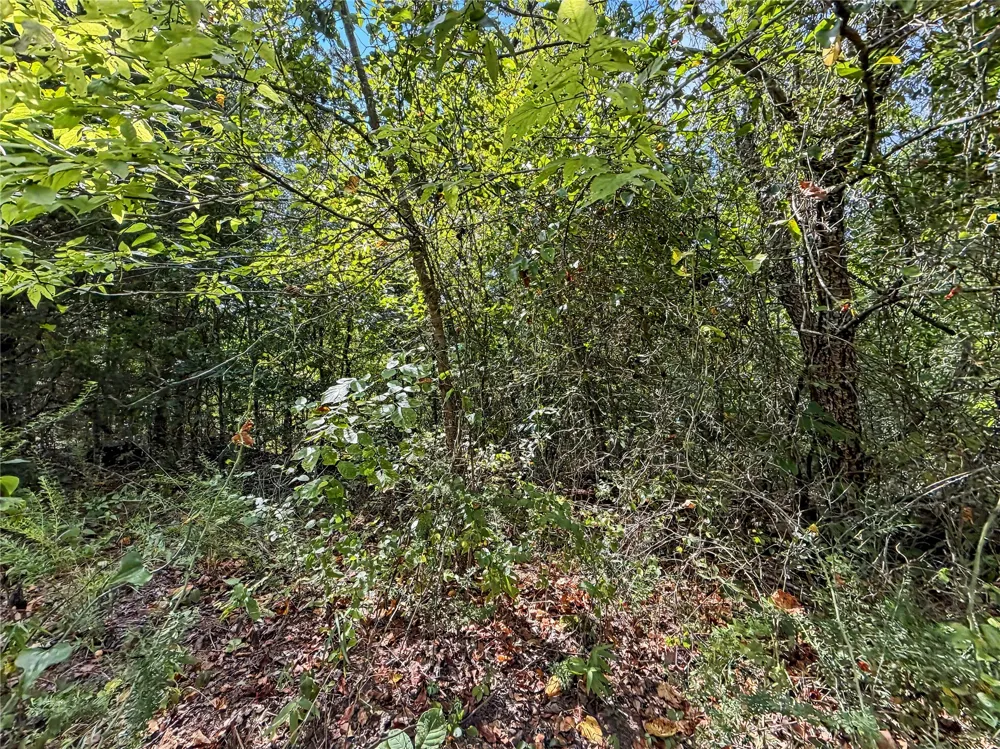 15265 W 917 ROAD Park Hill, OK 74451