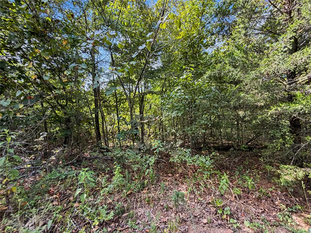 15265 W 917 ROAD Park Hill, OK 74451