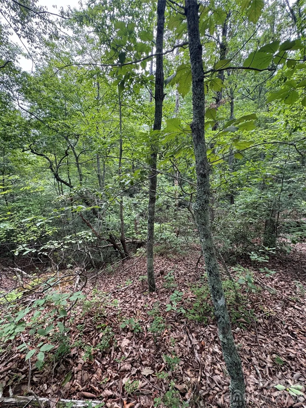 0 Raven Boulevard Lake Lure, NC 28746