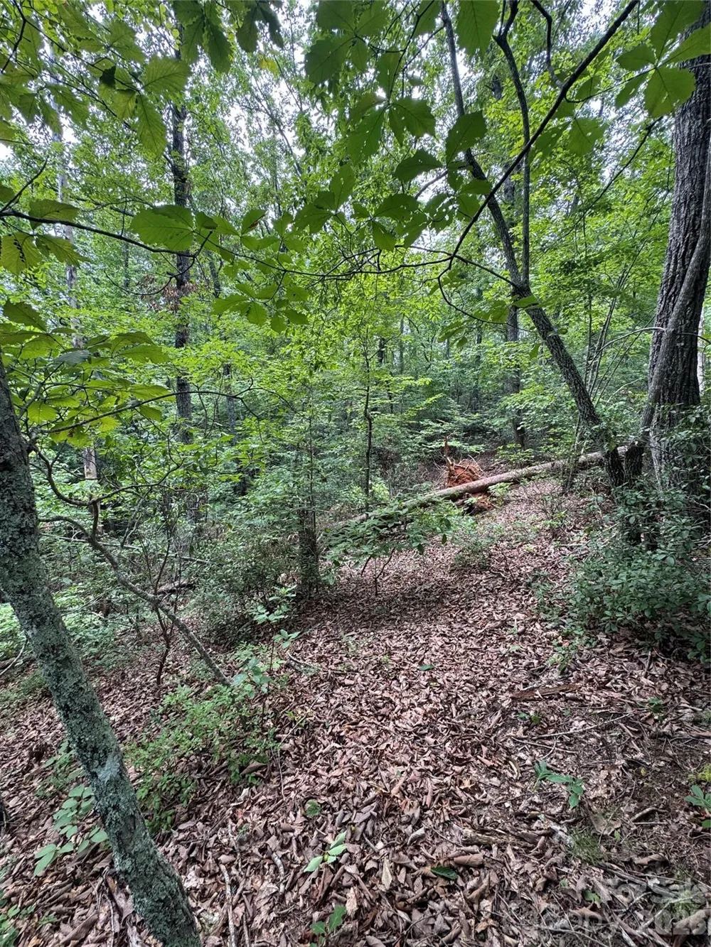 0 Raven Boulevard Lake Lure, NC 28746