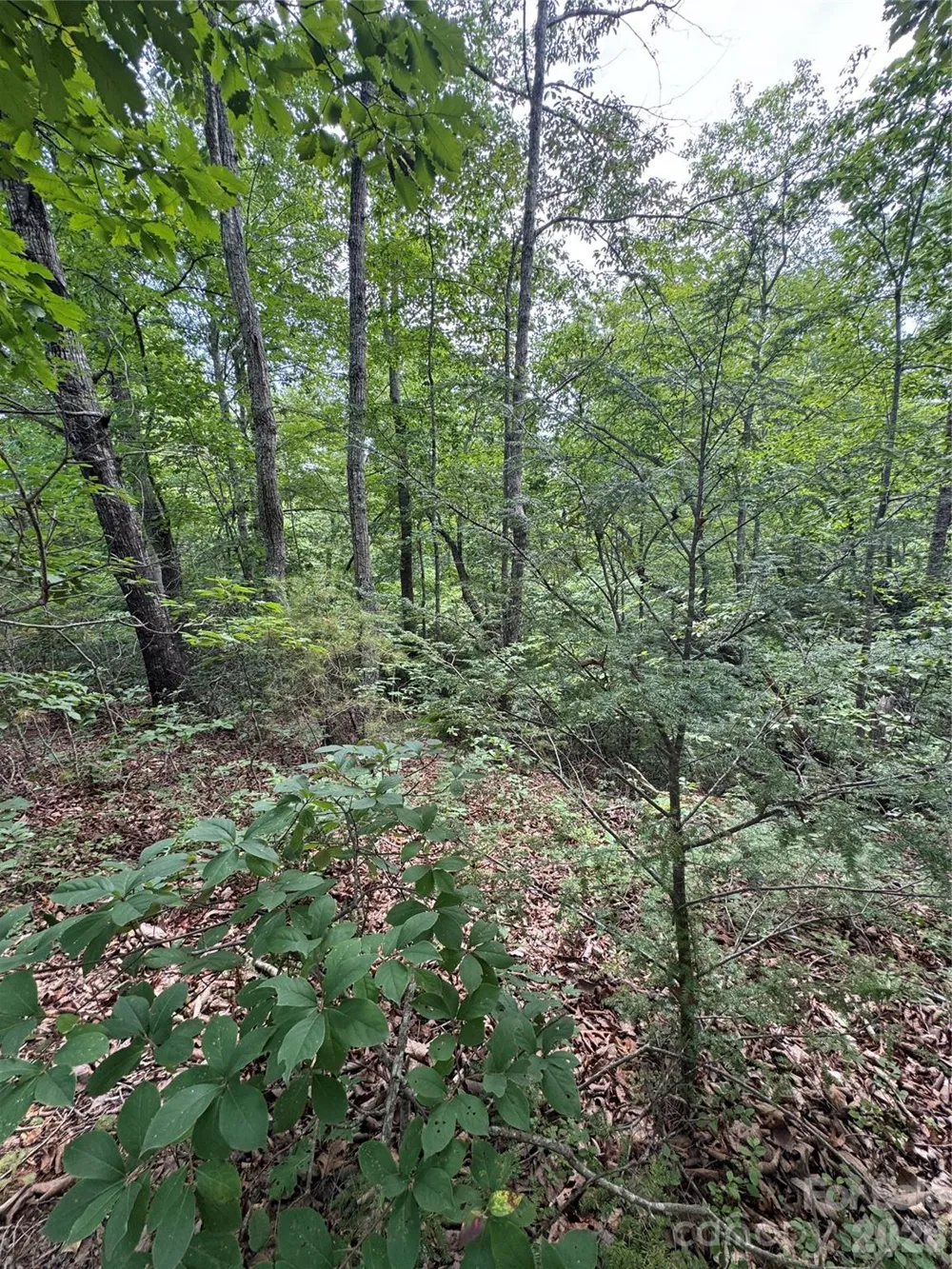 0 Raven Boulevard Lake Lure, NC 28746