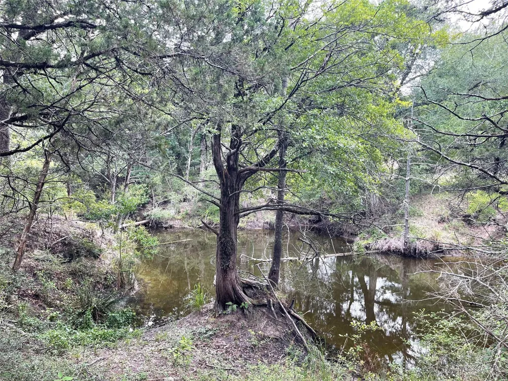108 Fcr 525 Fairfield, TX 75840