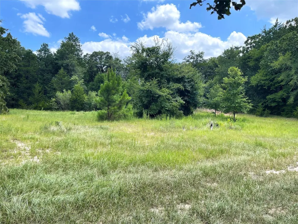 108 Fcr 525 Fairfield, TX 75840