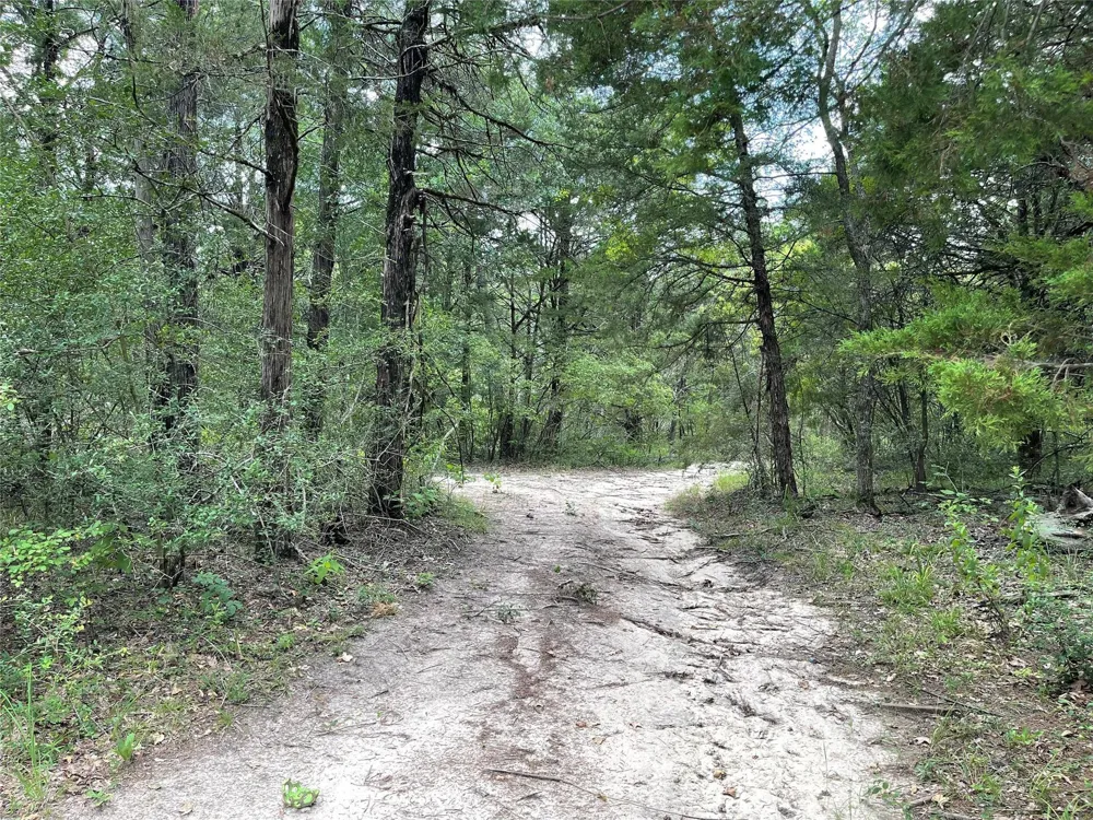 108 Fcr 525 Fairfield, TX 75840