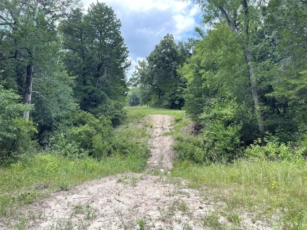 108 Fcr 525 Fairfield, TX 75840