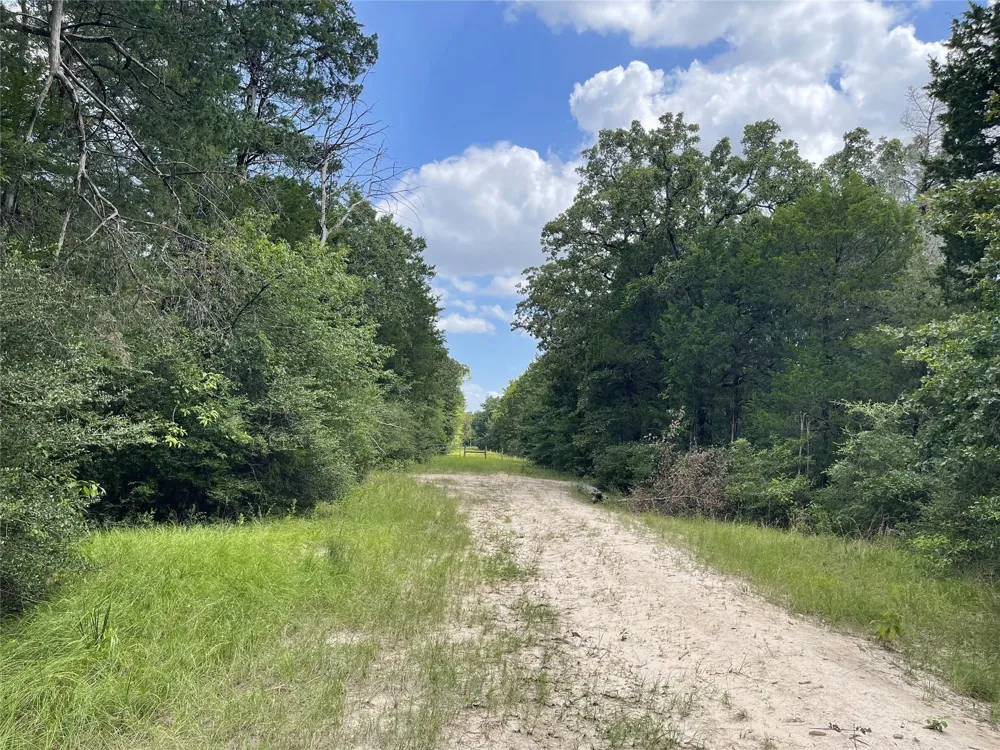 108 Fcr 525 Fairfield, TX 75840