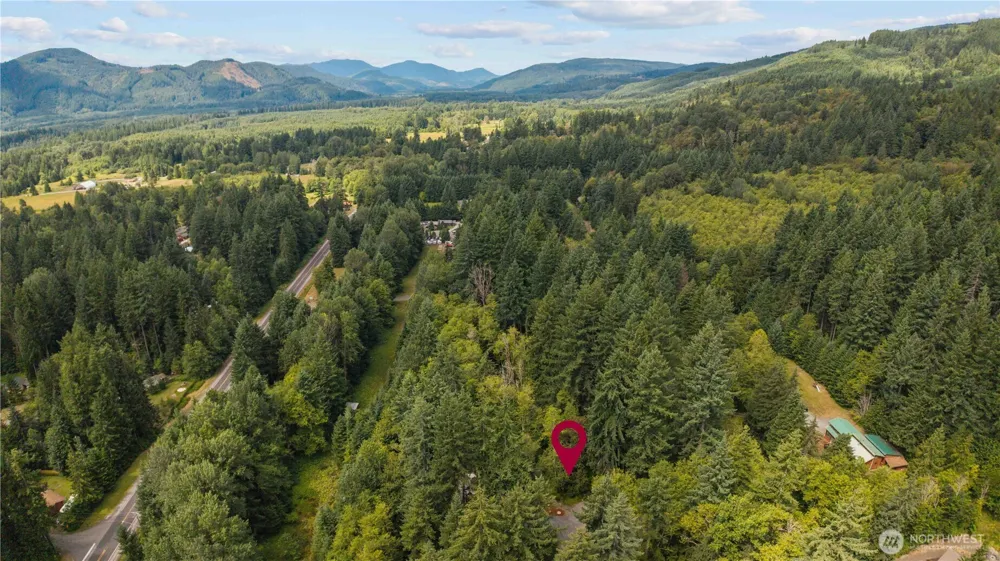 55010 315th Ave E Ashford, WA 98304